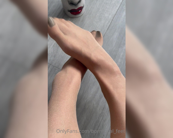 Bornroyal_feet aka Bornroyal_feet OnlyFans - Rubbing my feet, can I tempt you