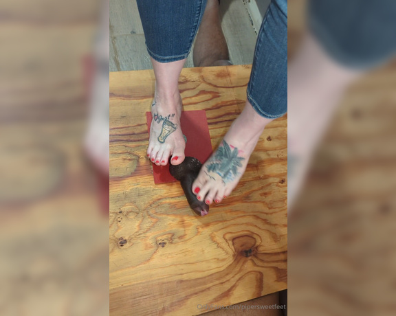 PiperSweetfeet aka Pipersweetfeet OnlyFans - Some super light trampling from the cock box sesh It was fun, but could a been funner if I could