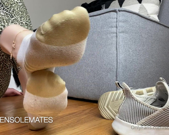 Sizetensolemates aka Sizetensolemates OnlyFans - Small penis humiliation JOI for you  enjoy my nasty white & gold Adidas socks