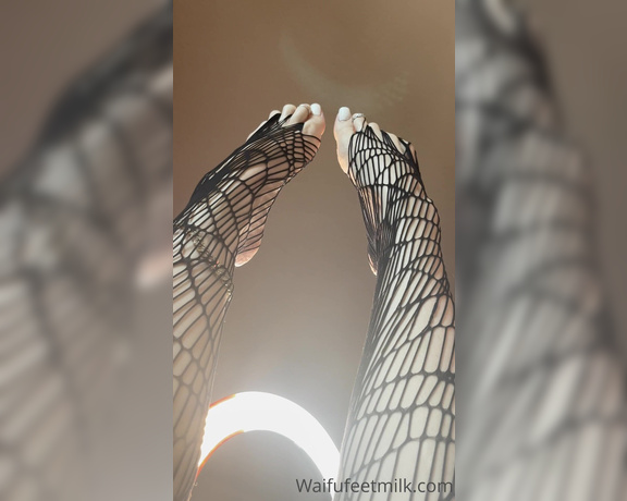 Waifu Jess aka Waifufeetmilkog OnlyFans - Cum all over my fishnets 13