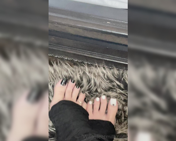 Waifu Jess aka Waifufeetmilkog OnlyFans Video 312