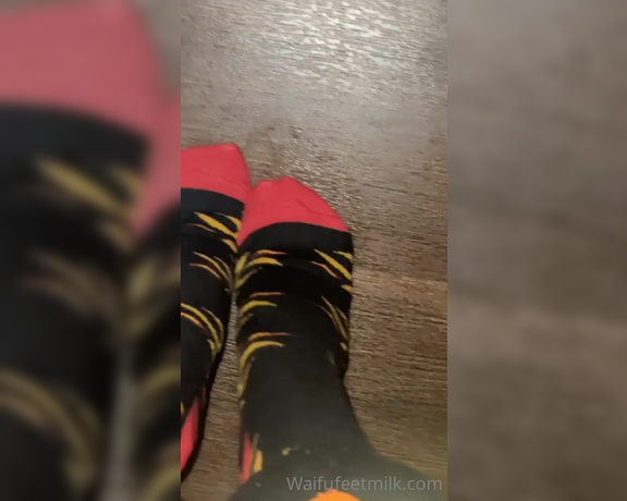 Waifu Jess aka Waifufeetmilkog OnlyFans - Removing my shoes and socks after gym