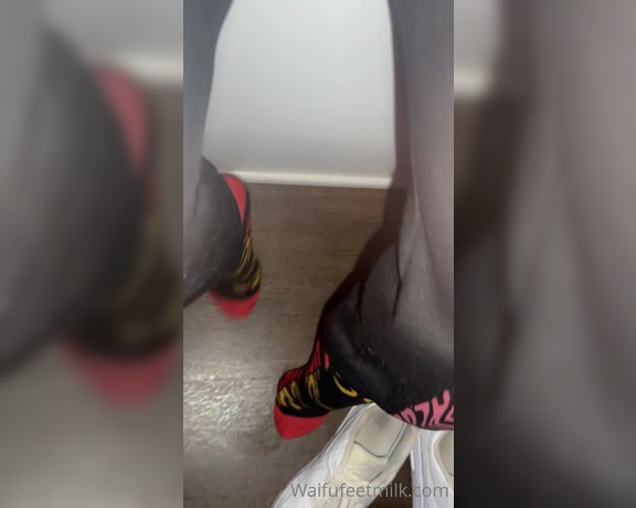 Waifu Jess aka Waifufeetmilkog OnlyFans - Removing my shoes and socks after gym