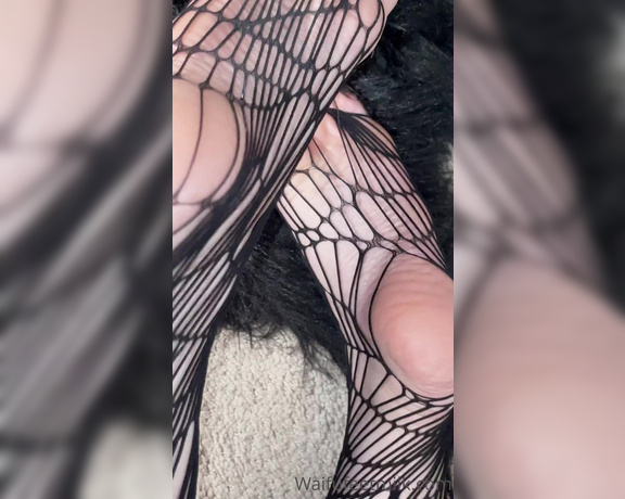 Waifu Jess aka Waifufeetmilkog OnlyFans - Cum all over my fishnets 25