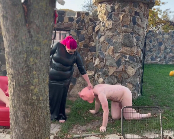 Mistress Zeida aka Mistress_zeida OnlyFans - VIDEO Mud play with piggy slave