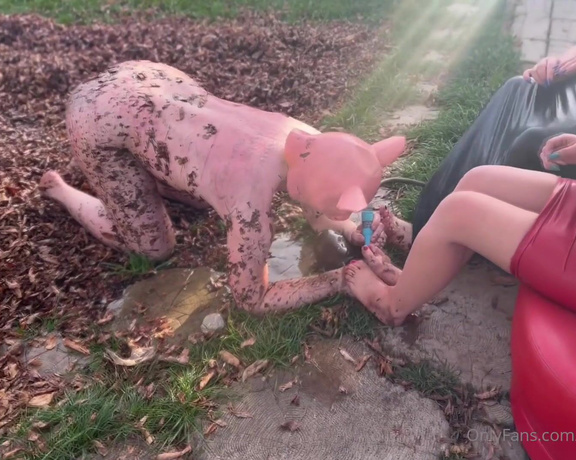 Mistress Zeida aka Mistress_zeida OnlyFans - VIDEO Lucky pig licks the mud and dirt from our feet