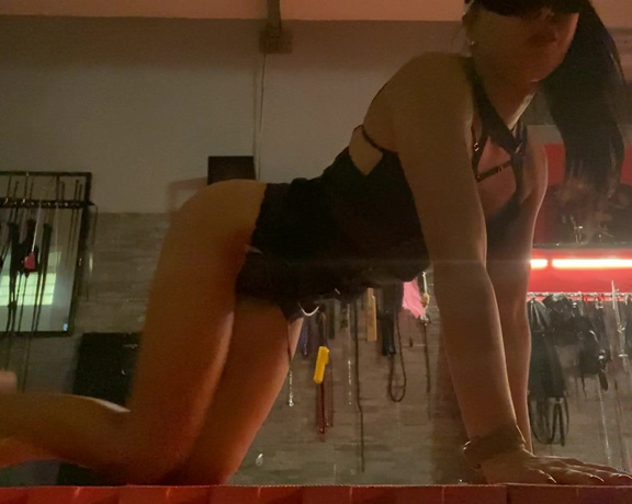 Mistress Gaia aka Gaiapadrona OnlyFans - Video for my slave that want to worship my strong and stretch legs