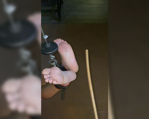 Mistress Gaia aka Gaiapadrona OnlyFans - Bastinado a questi piedi di merda