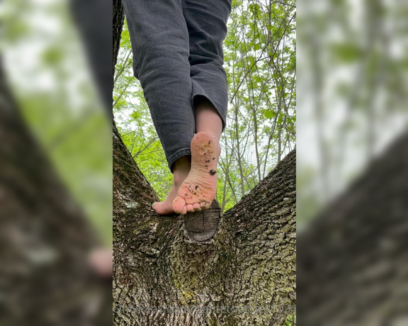 Petite Feet Penelope aka Penelopestootsies739 OnlyFans - Nature and feet go so good together