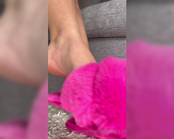 Petite Feet Penelope aka Penelopestootsies739 OnlyFans - Slipper dangle