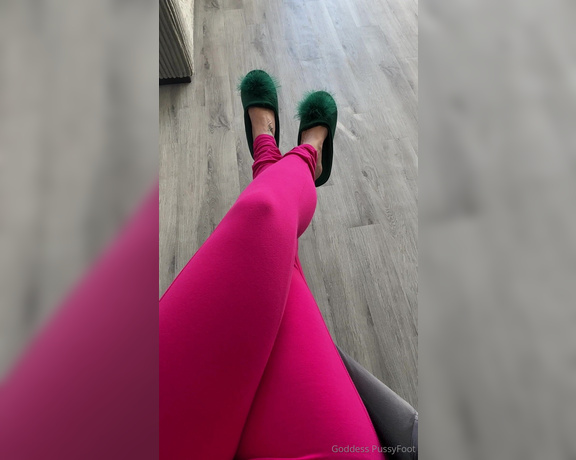 Goddess PussyFoot aka U186296307 OnlyFans - Good morning Fetch Master’s slippers and coffee 5