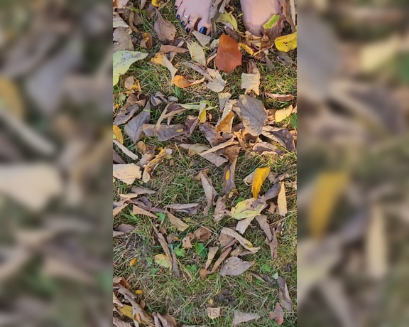 Mssjada aka mssjada OnlyFans - 2 minutes of barefoot leaf crunchin what do you want to see me and my perfect feet do next