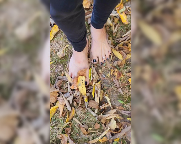 Mssjada aka mssjada OnlyFans - 2 minutes of barefoot leaf crunchin what do you want to see me and my perfect feet do next