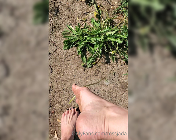 Mssjada aka mssjada OnlyFans - Walking around outside barefoot playing in the grass with me feet