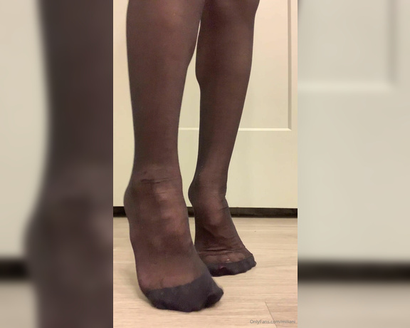 Miliani aka miliani OnlyFans - I want to rub these nylons all over you Can