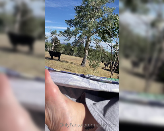 Goddess Mads aka mad4soles_ OnlyFans - Join me for hammock time while camping