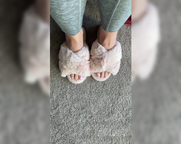 Goddess Mads aka mad4soles_ OnlyFans - Can’t wait to leave my scent all over these new slippers soon they will have imprints of my toes