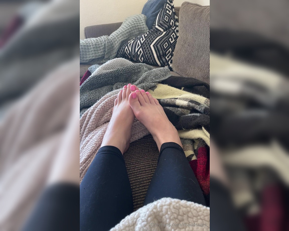 Goddess Mads aka mad4soles_ OnlyFans - Perfectly pedicured toes are back, its about time