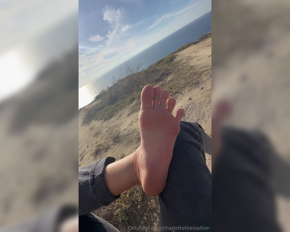 Charlotte The Stallion aka charlottethestallion OnlyFans - Fall in love with the view & my feet