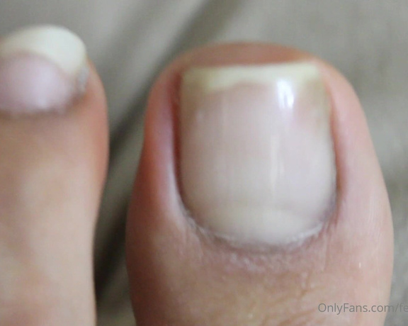 Goddess Mel aka feetgoddess_mel OnlyFans - A big close up on my little feet without nail color! i think a need a pedi, can we raise some $$$