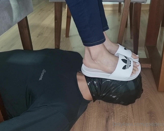 Goddess Elisa aka goddesselisaa OnlyFans - You would love to be my footrest while I do my things, wouldnt you,