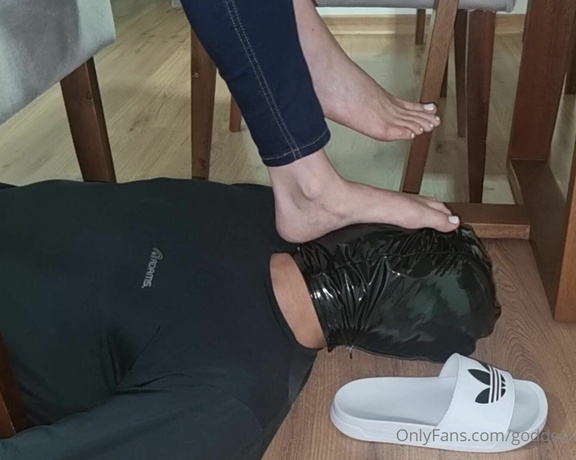 Goddess Elisa aka goddesselisaa OnlyFans - You would love to be my footrest while I do my things, wouldnt you,