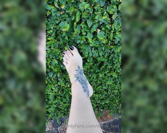 Samy Feet aka samy_feet OnlyFans Video 585