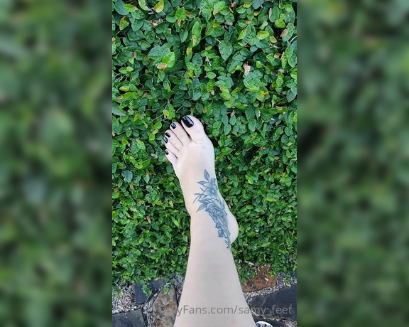 Samy Feet aka samy_feet OnlyFans Video 585