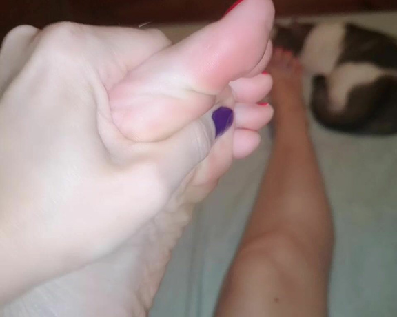 Feetvampire aka feetvampire OnlyFans - Echndome cremita