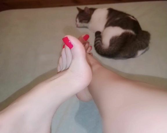 Feetvampire aka feetvampire OnlyFans - Echndome cremita