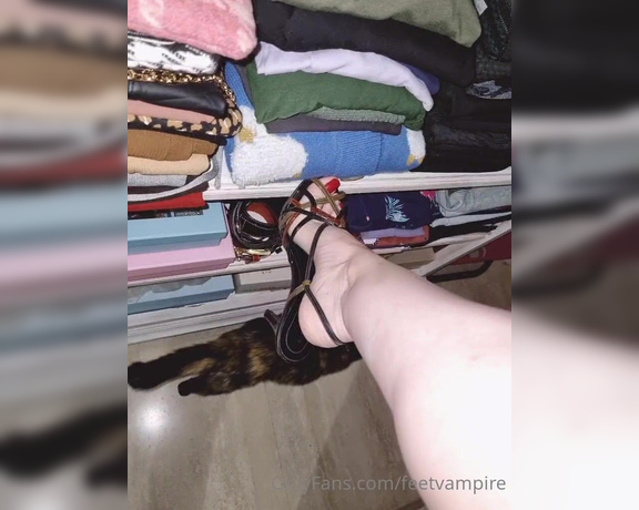 Feetvampire aka feetvampire OnlyFans Video 649