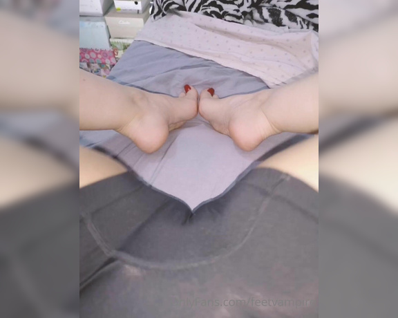 Feetvampire aka feetvampire OnlyFans Video 586