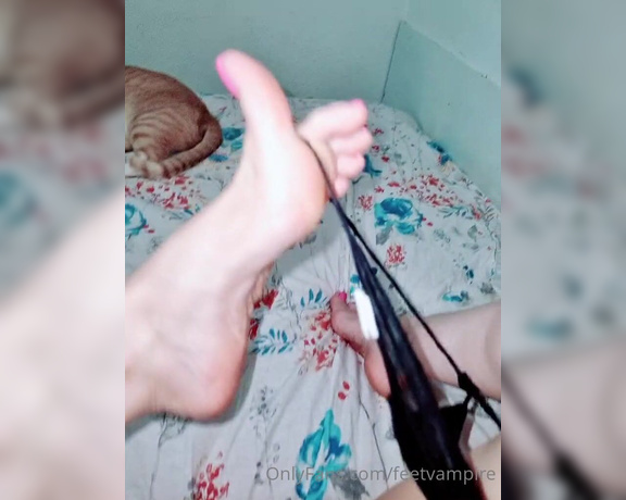 Feetvampire aka feetvampire OnlyFans Video 351