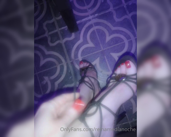 Feetvampire aka feetvampire OnlyFans Video 240