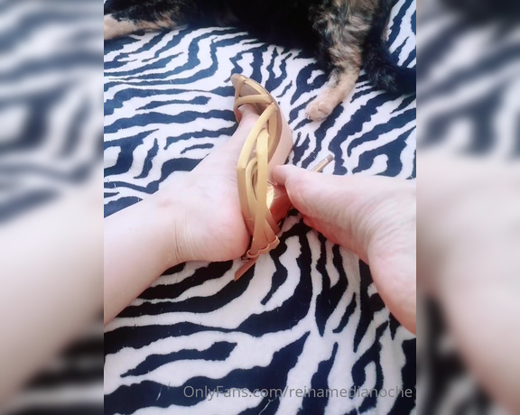 Feetvampire aka feetvampire OnlyFans Video 444