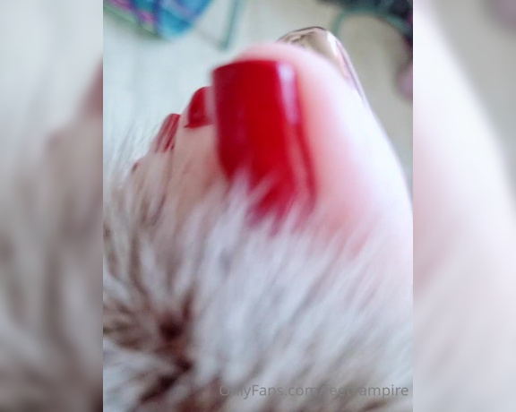 Feetvampire aka feetvampire OnlyFans Video 497