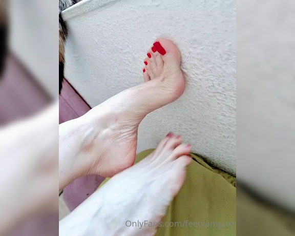 Feetvampire aka feetvampire OnlyFans Video 109