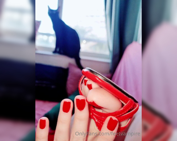 Feetvampire aka feetvampire OnlyFans Video 667