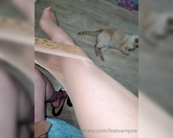 Feetvampire aka feetvampire OnlyFans Video 260