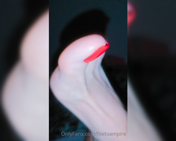 Feetvampire aka feetvampire OnlyFans Video 255