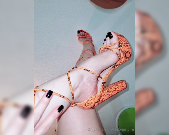 Feetvampire aka feetvampire OnlyFans Video 49