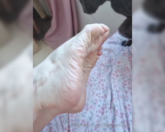 Feetvampire aka feetvampire OnlyFans Video 831