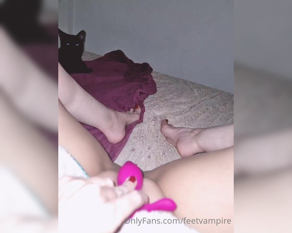 Feetvampire aka feetvampire OnlyFans Video 846