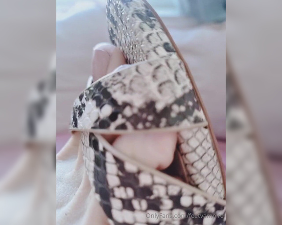 Feetvampire aka feetvampire OnlyFans Video 437