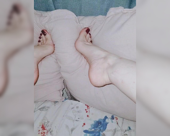 Feetvampire aka feetvampire OnlyFans Video 931