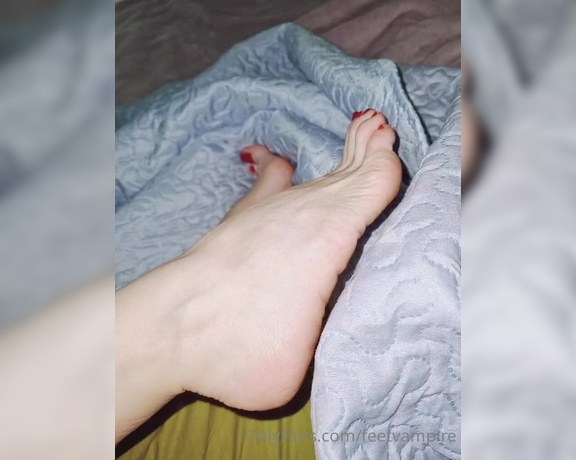 Feetvampire aka feetvampire OnlyFans Video 772