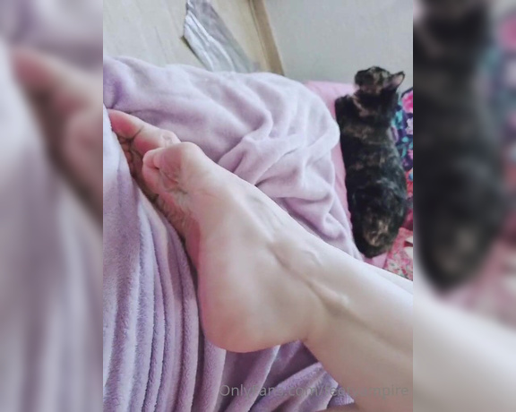 Feetvampire aka feetvampire OnlyFans Video 371