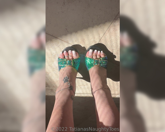 Tatianasnaughtytoes aka tatianasnaughtytoes OnlyFans - A bit about my new crib