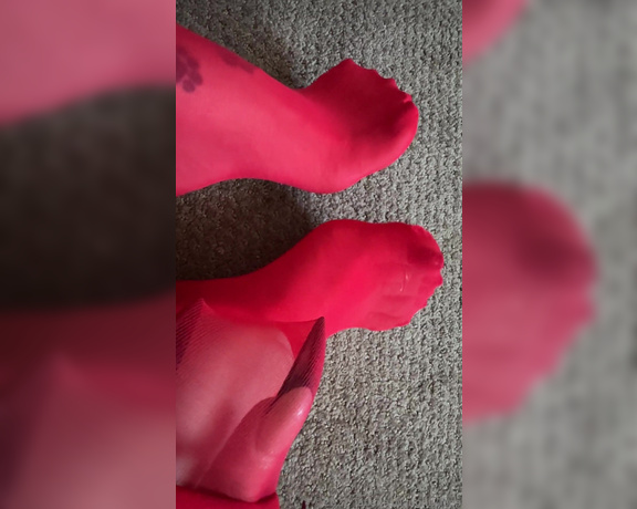 Tatianasnaughtytoes aka tatianasnaughtytoes OnlyFans - Red