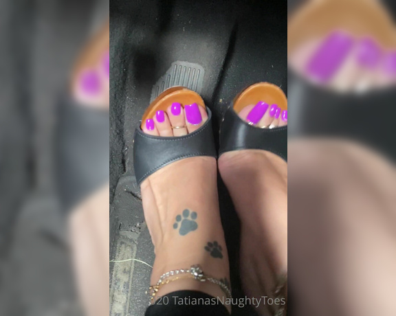 Tatianasnaughtytoes aka tatianasnaughtytoes OnlyFans - NEW 20200911 Purple Pedicure  Pedal Pumping Mules1 Just went out for lunch and wanted to show you